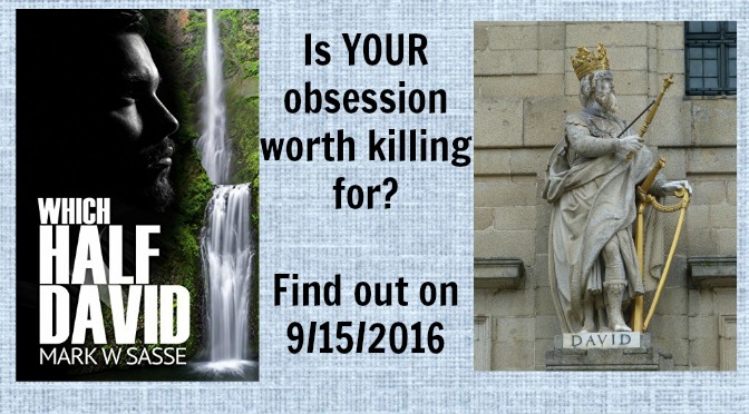 #BOOK REVIEW BY @COLLEENCHESEBRO OF “Which Half David,” BY AUTHOR Mark W.&nbsp;Sasse